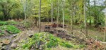 Ace Combat, Airsoft, Things to do in Kent, Outdoor Activities in Kent, UKARA